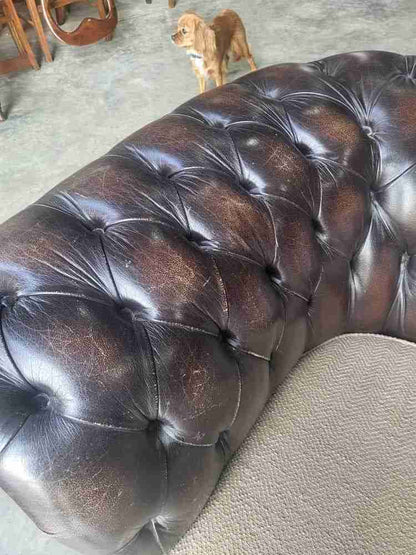 Antique repro button back 3 seat brown leather Chesterfield  sofa