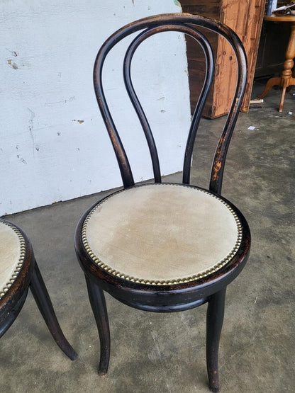 Pair two Thonet bentwood bistro chairs no18 suede seats