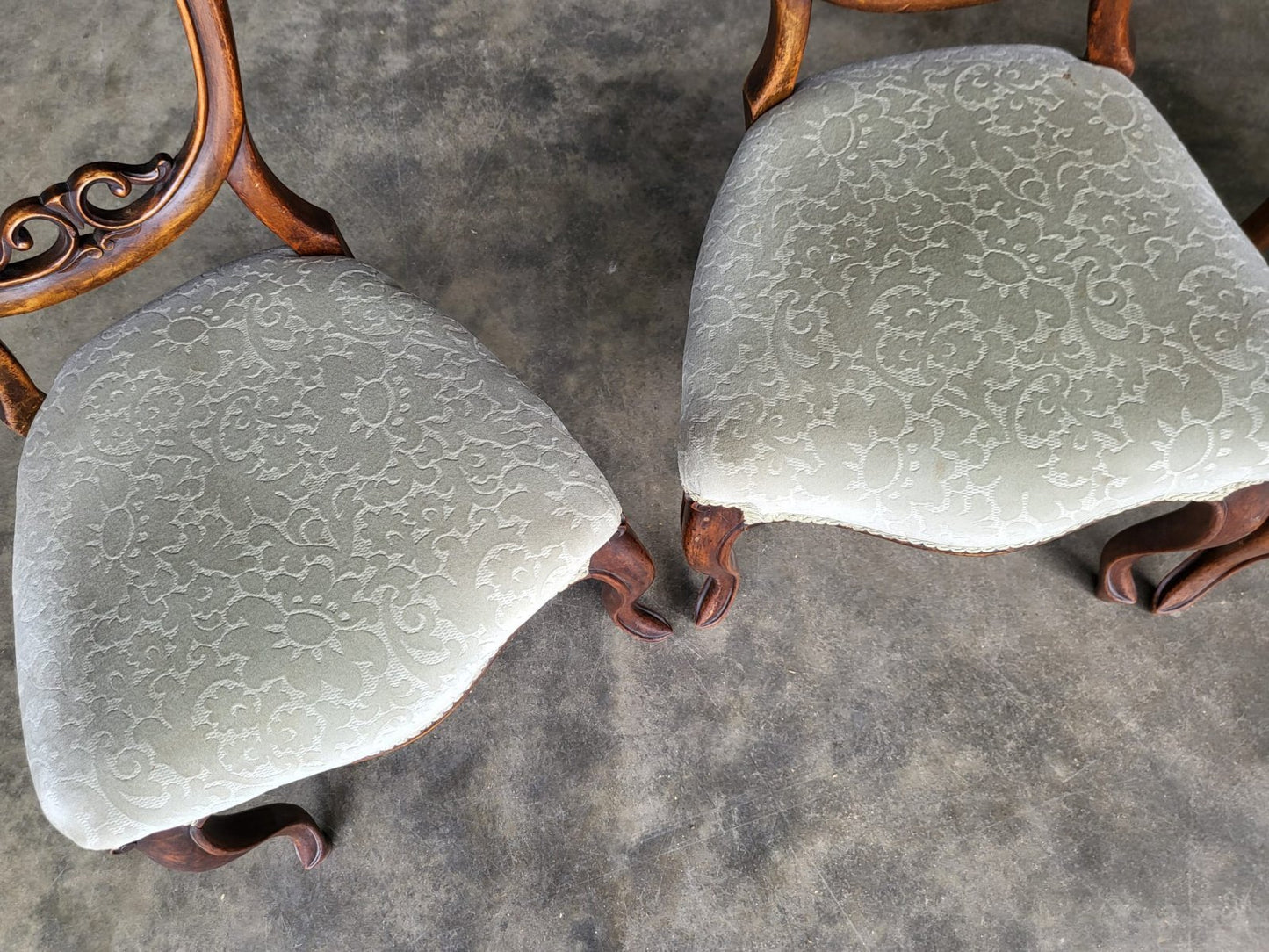 Four green antique Victorian balloon back dining chairs cabriole legs