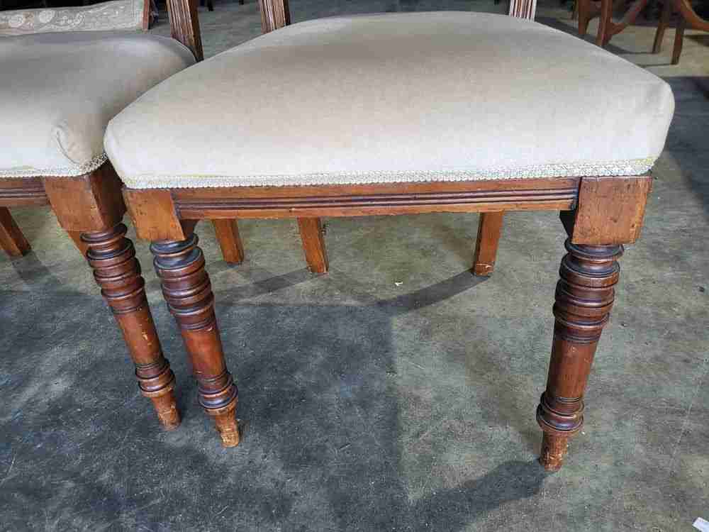 Four antique Victorian carved bar back dining chairs cream